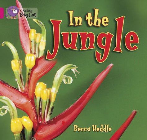 Collins Big Cat Tales: In The Jungle