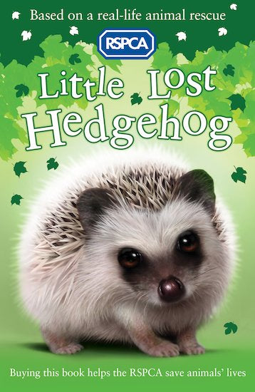 RSPCA: Little Lost Hedgehog